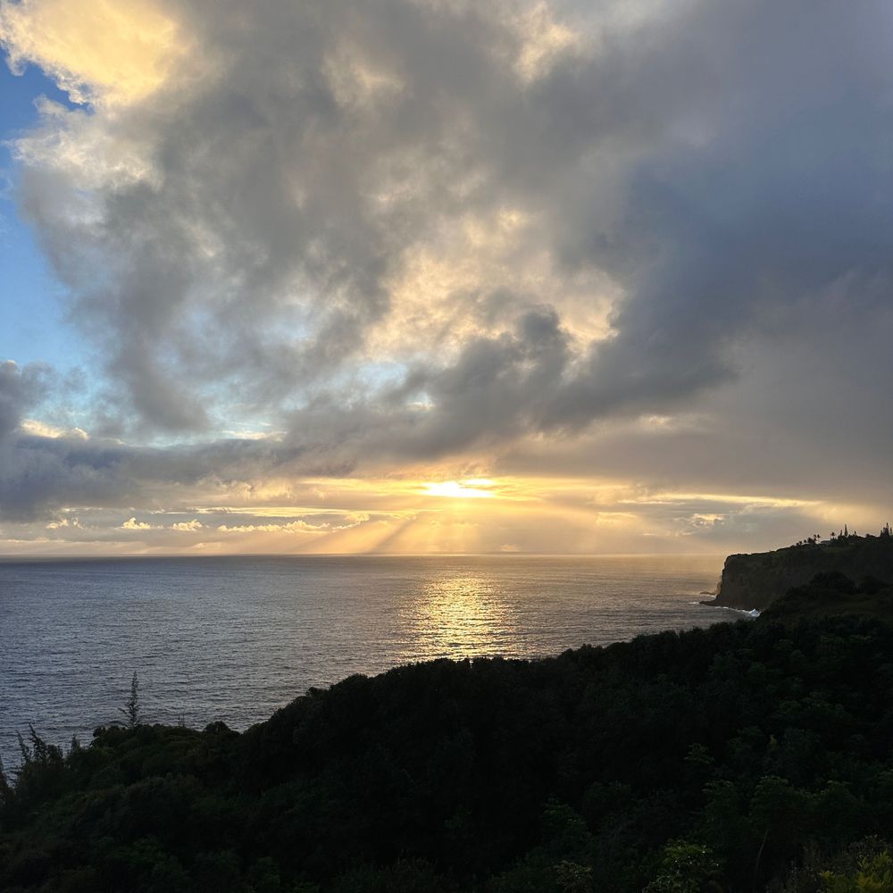 rlsmaui.bsky.social profile picture