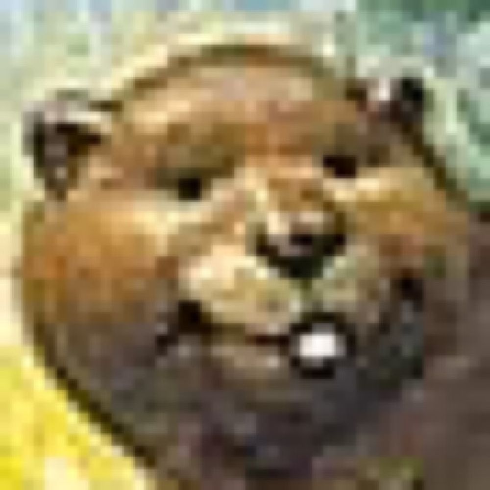  c a l
