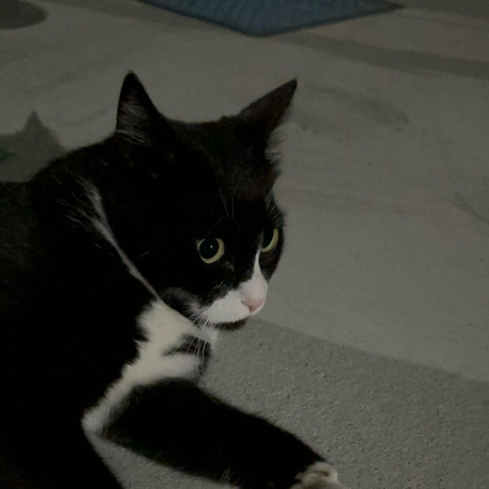 りゅう