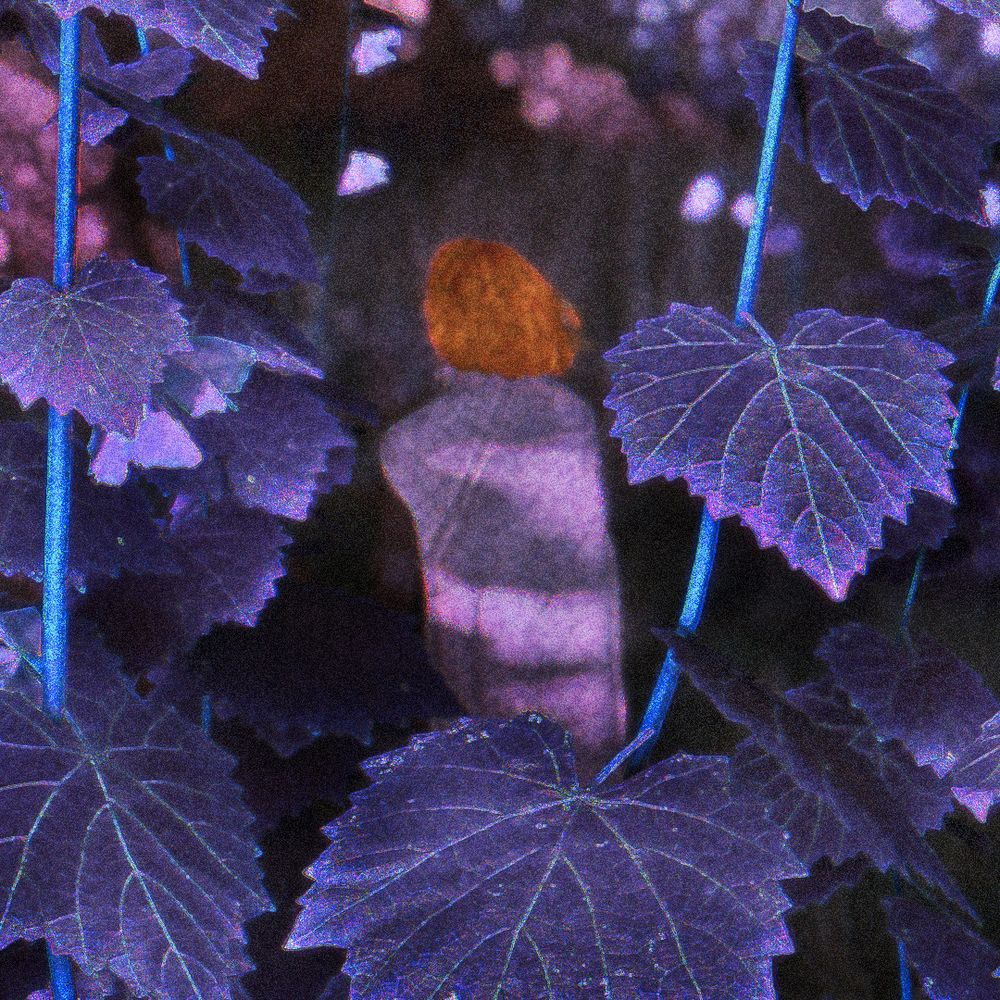 dev.eris