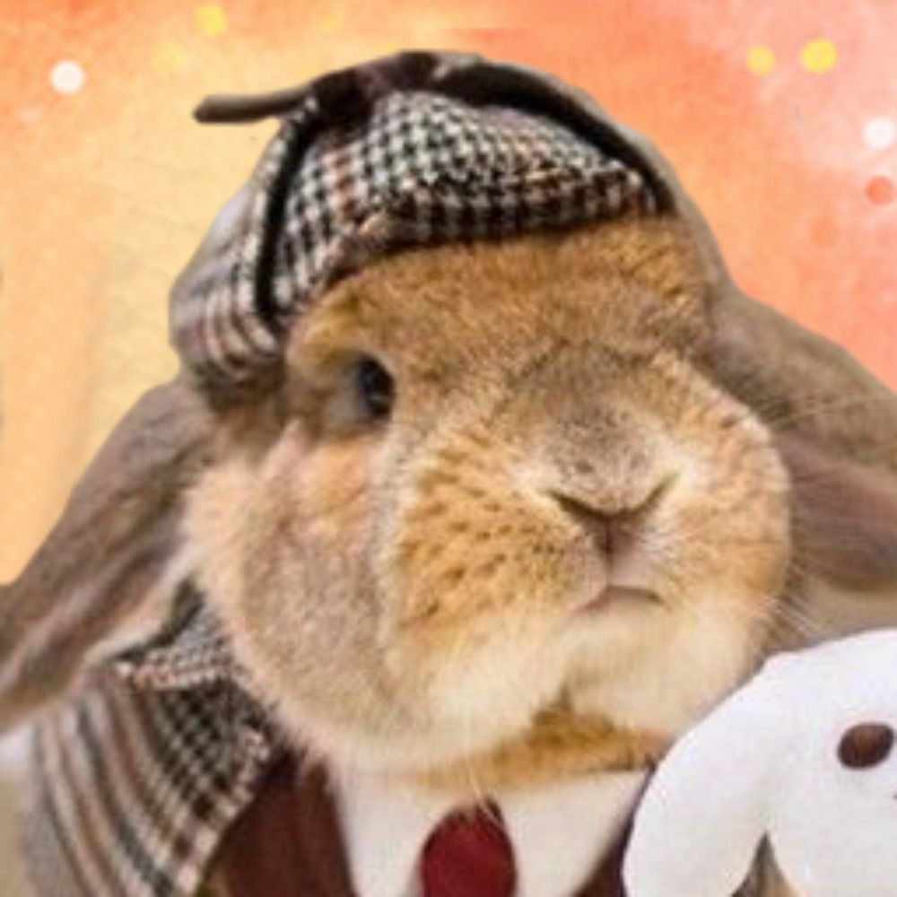 bunnyadvocate.bsky.social profile picture