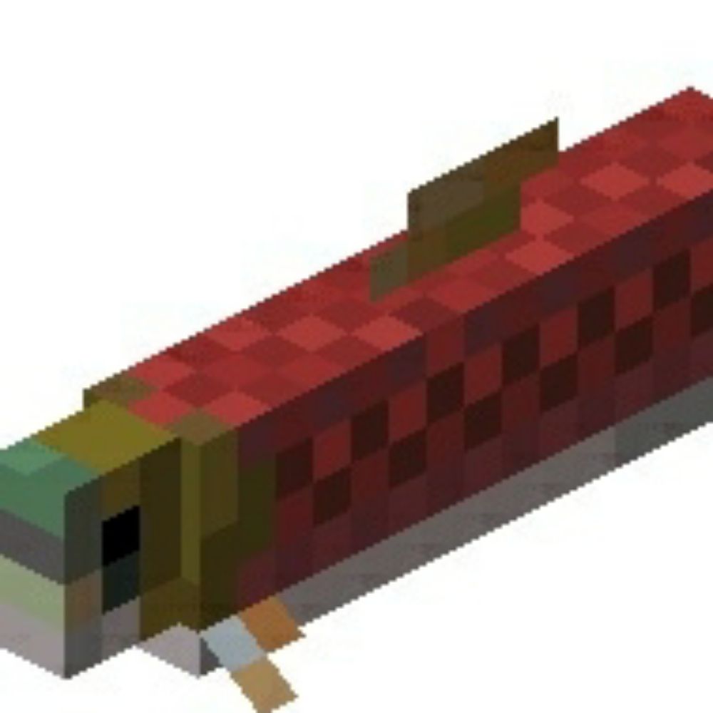SALMON