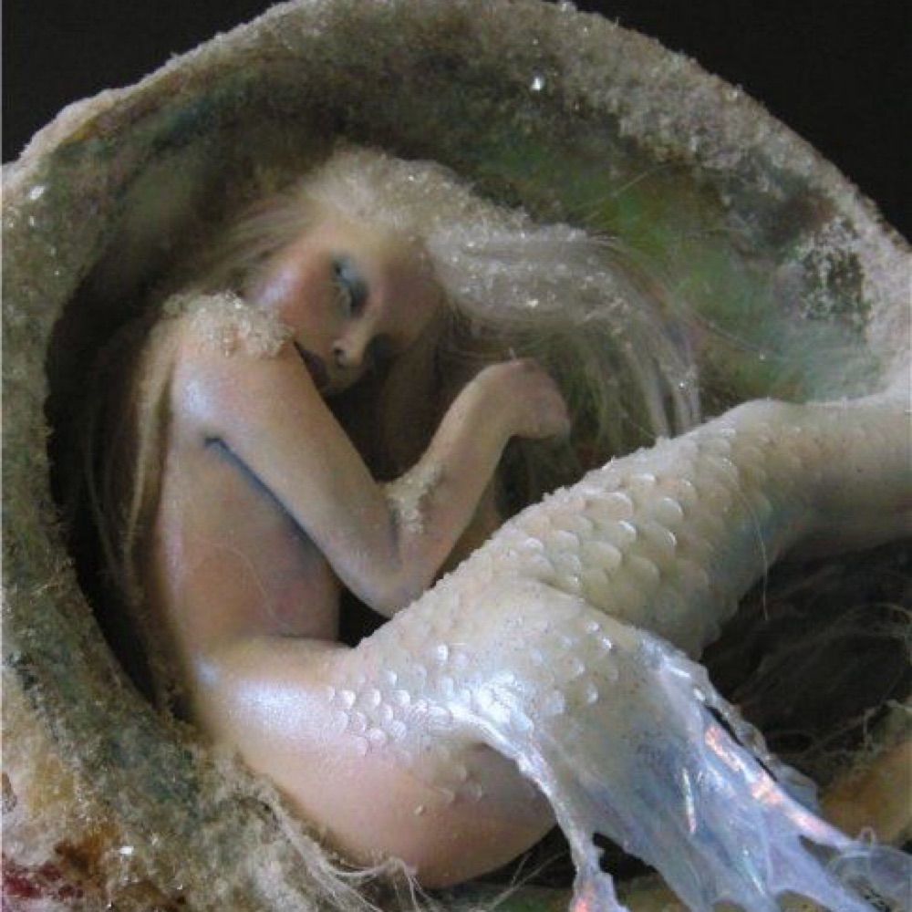 𓆦