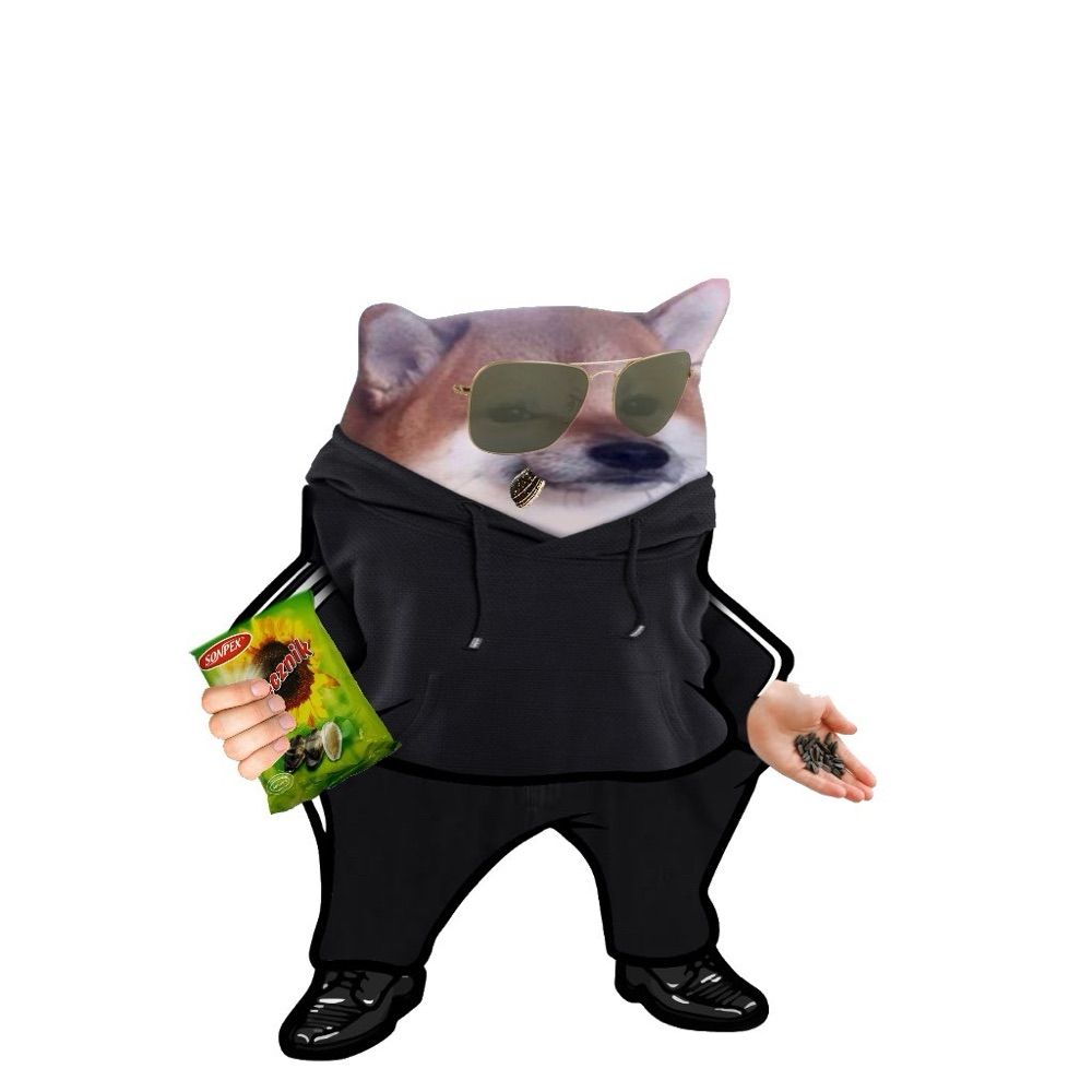 Novaxx Djocovid