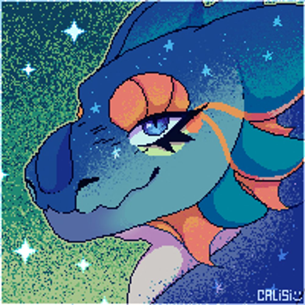 Calisi ⭐️ Comms Closed!