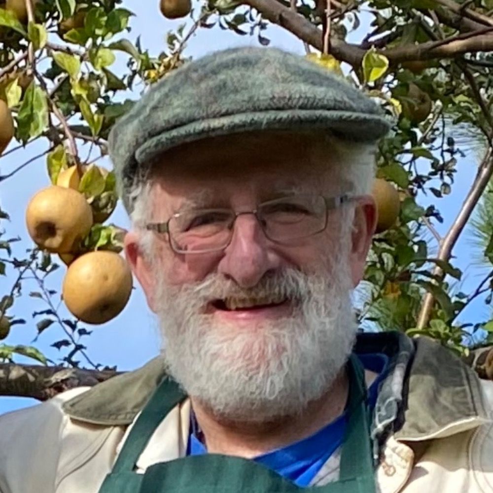 John J. Cullen