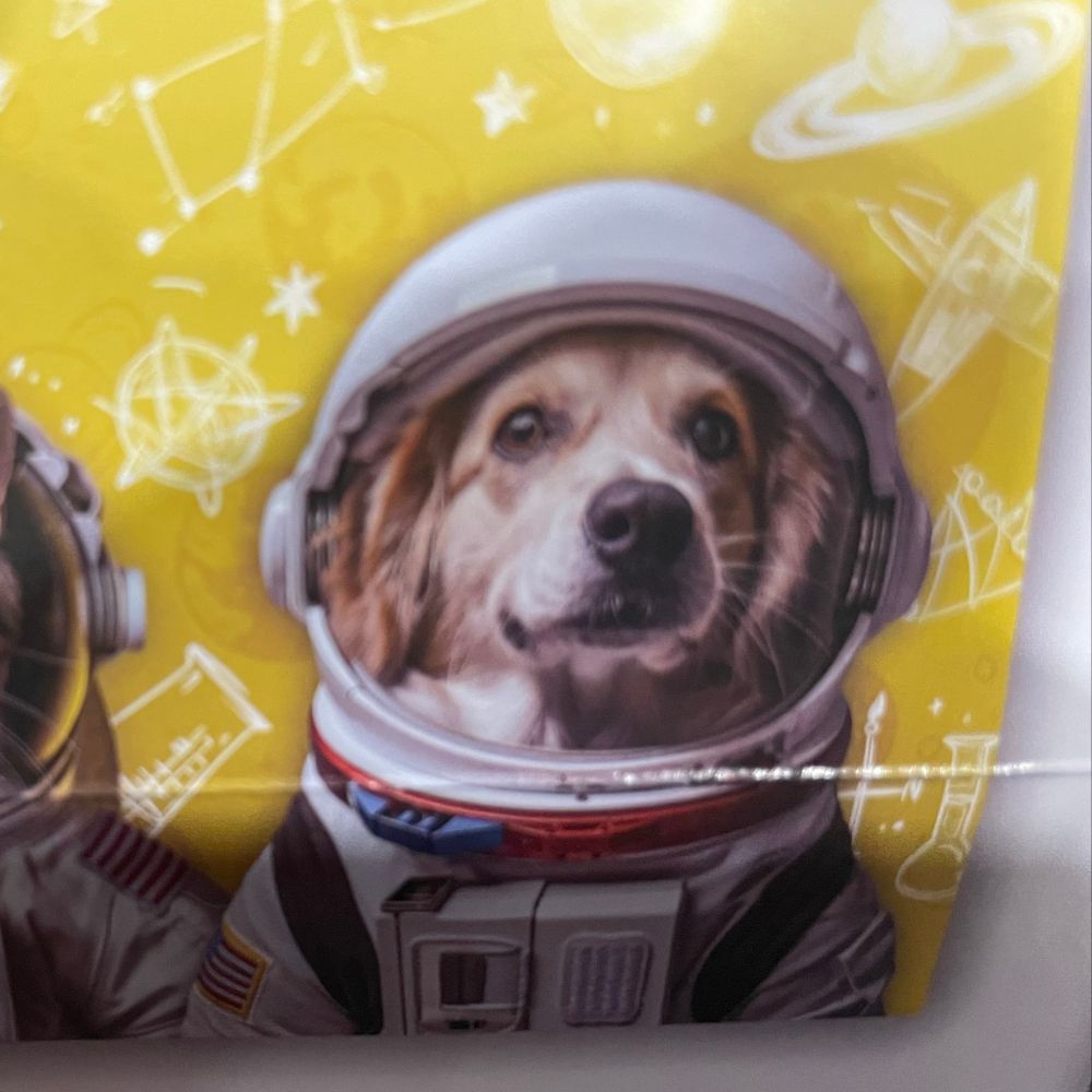 sunshine6631.bsky.social profile picture