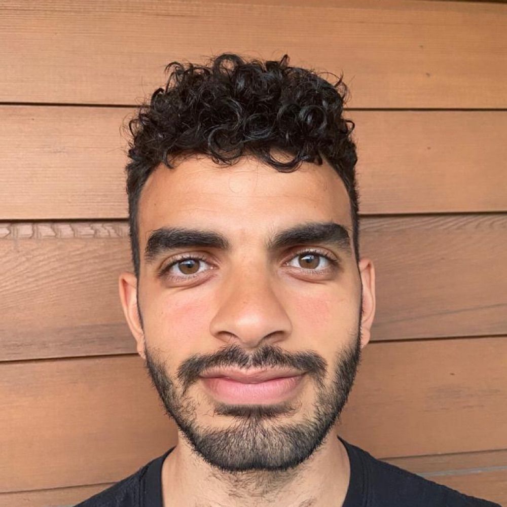 Ahmed Razek