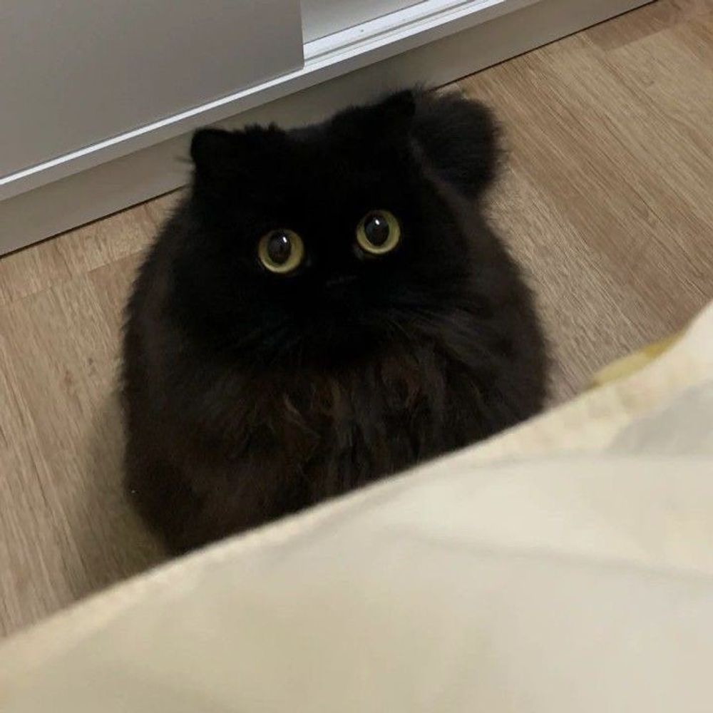 mon