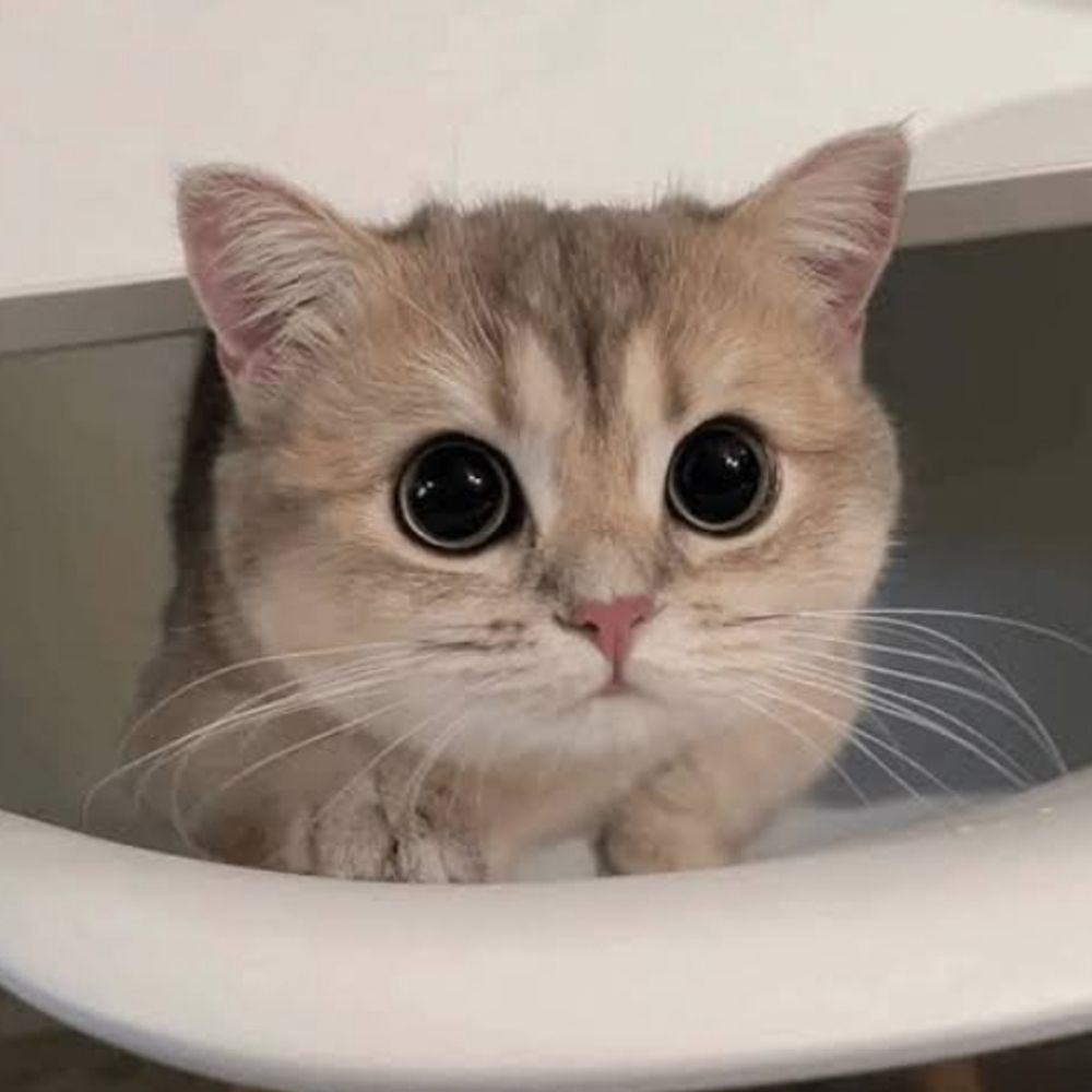 Me