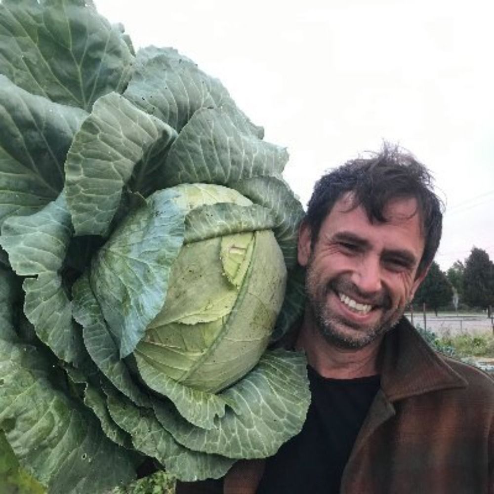 Matt Miller