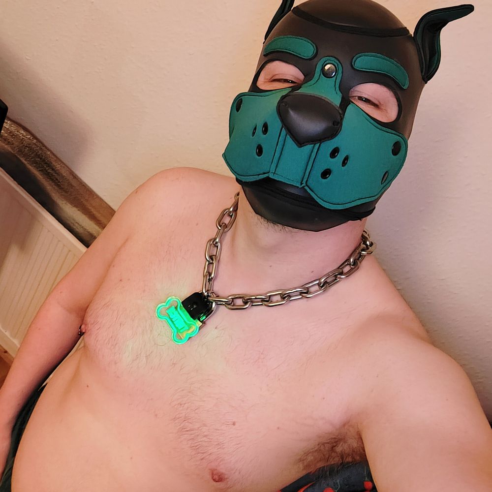 Pupper Twitch