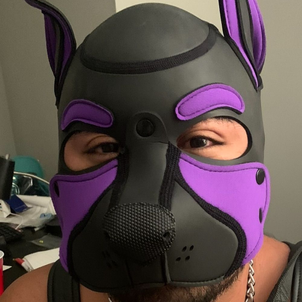 Pup Skoden