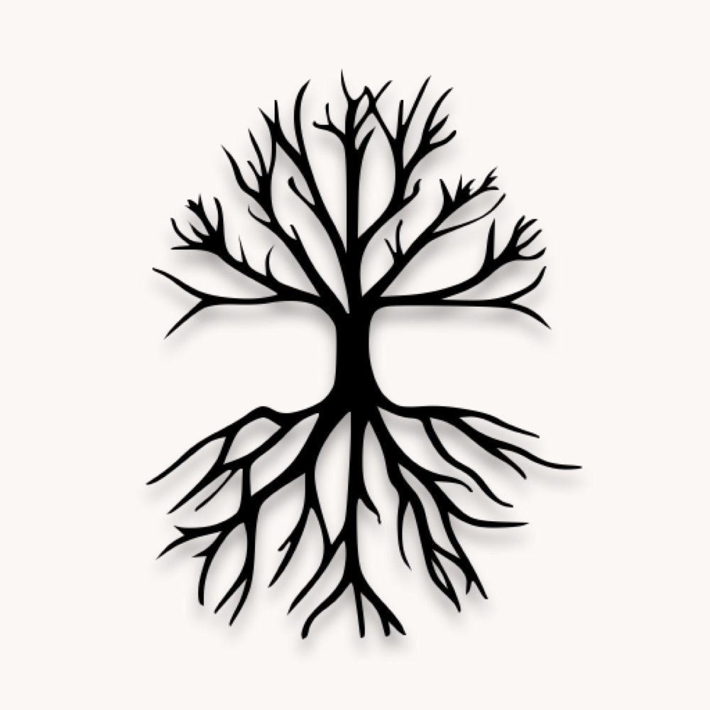 Root Media