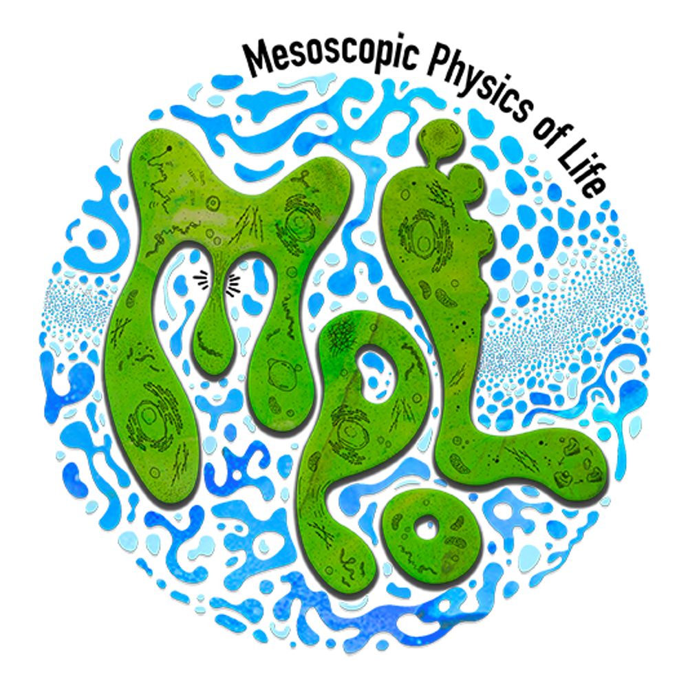 Mesoscopic Physics of Life (MPoL)