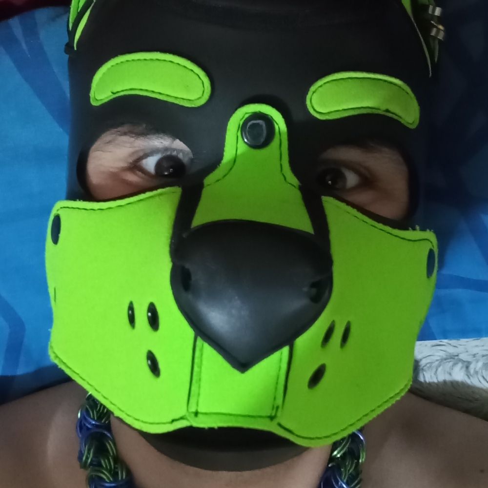 Revi Pupperino