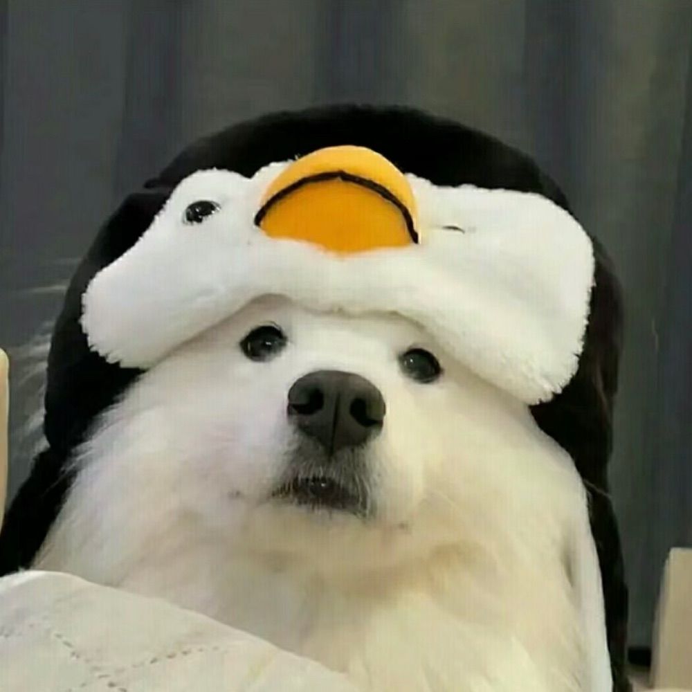 余诺诺