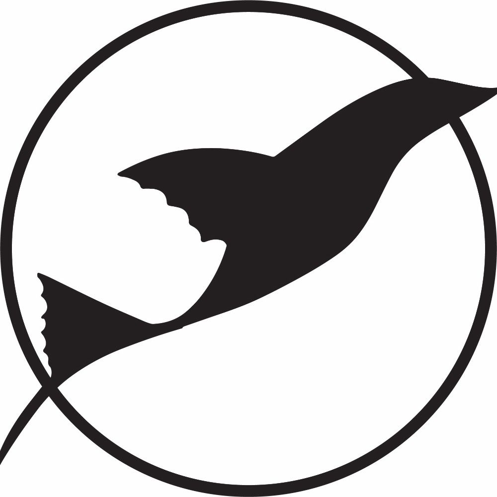 Feathers and Fins