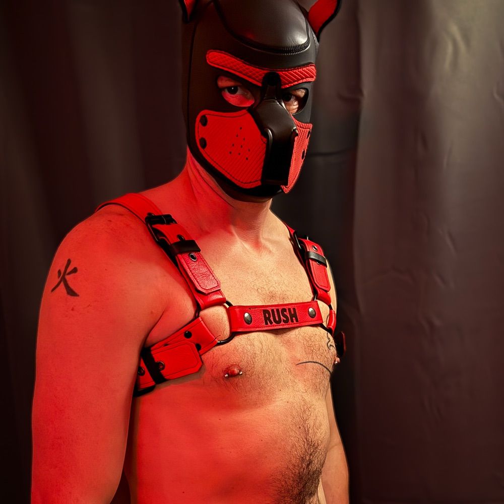 Pup Rush