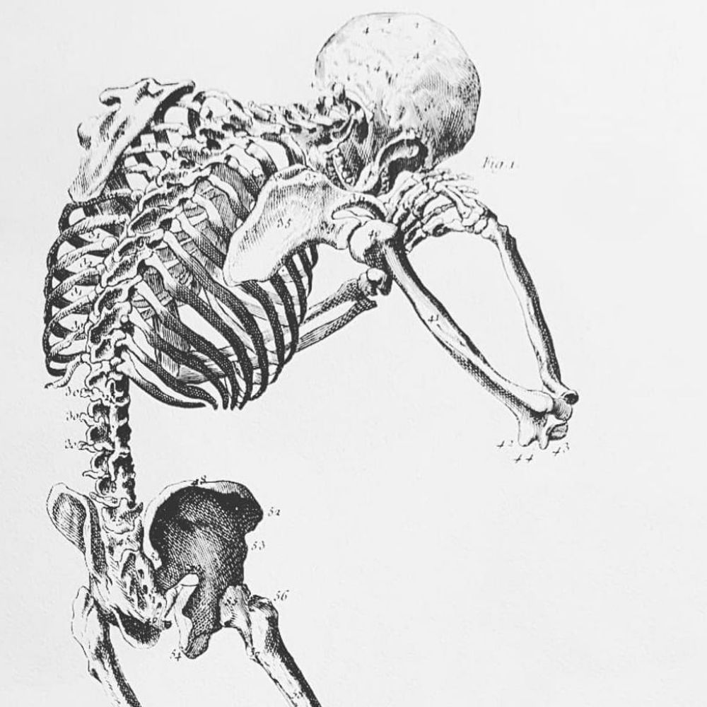 ghoul, interrupted