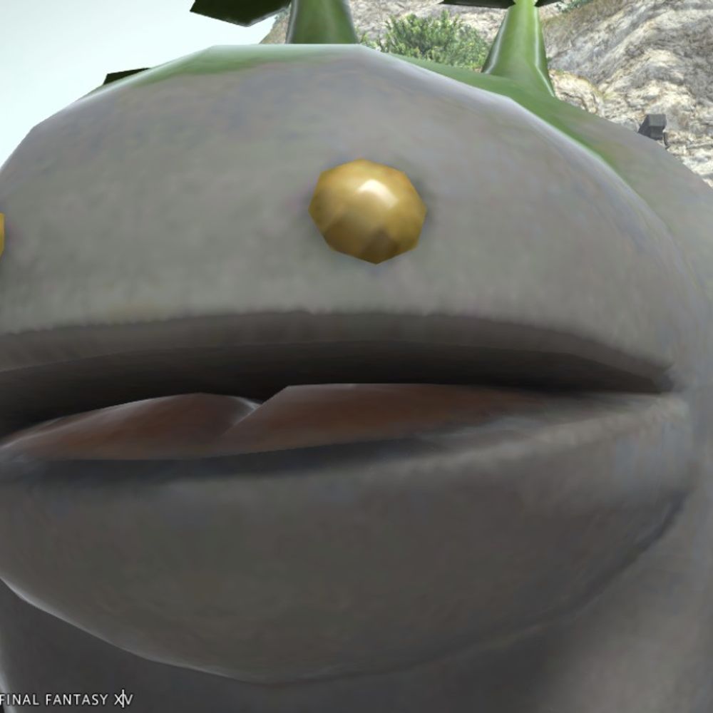 おせち先生