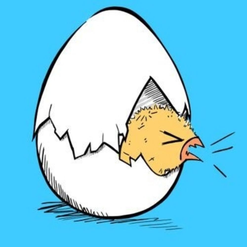 Eggshell 🥚