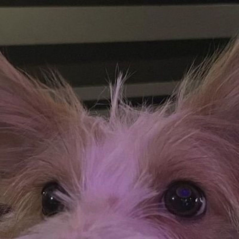 cha