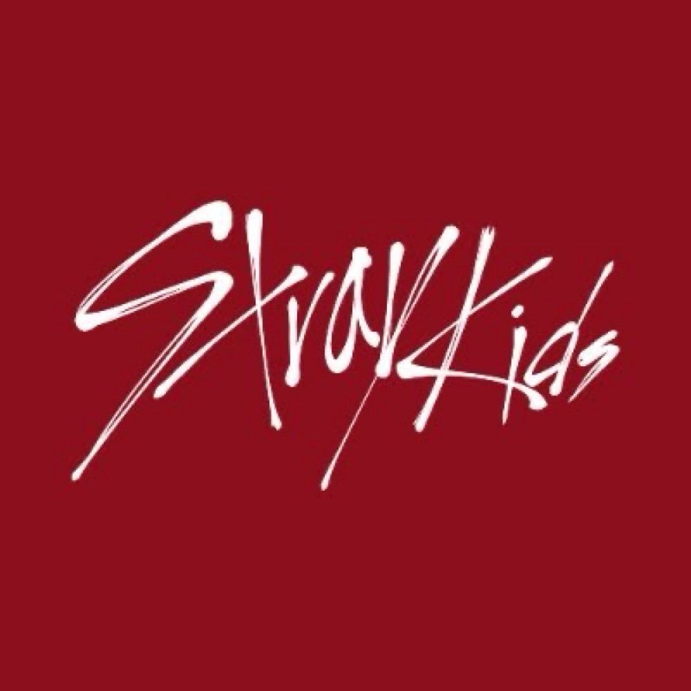 Stray Kids (fan acc)