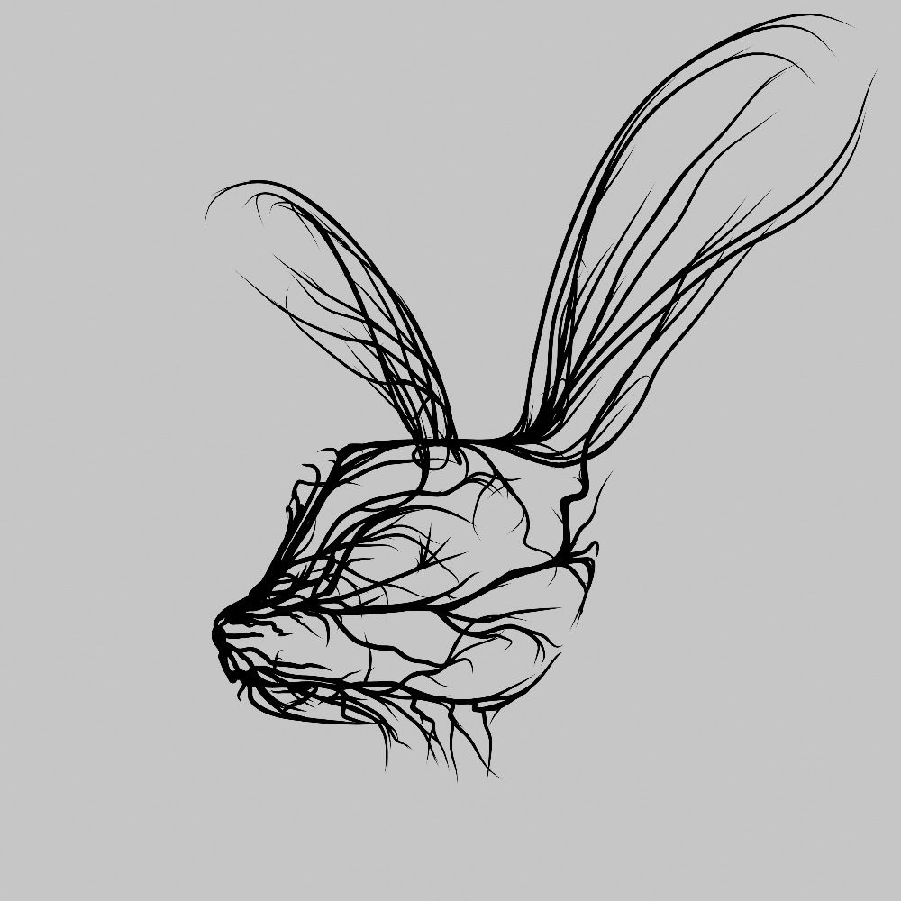 LongBunny