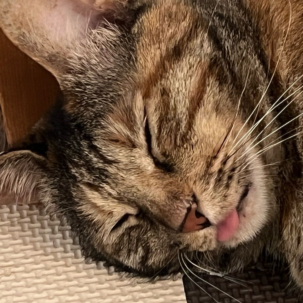 かりん