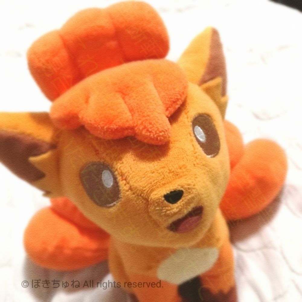ロコンのコン🔥🦊