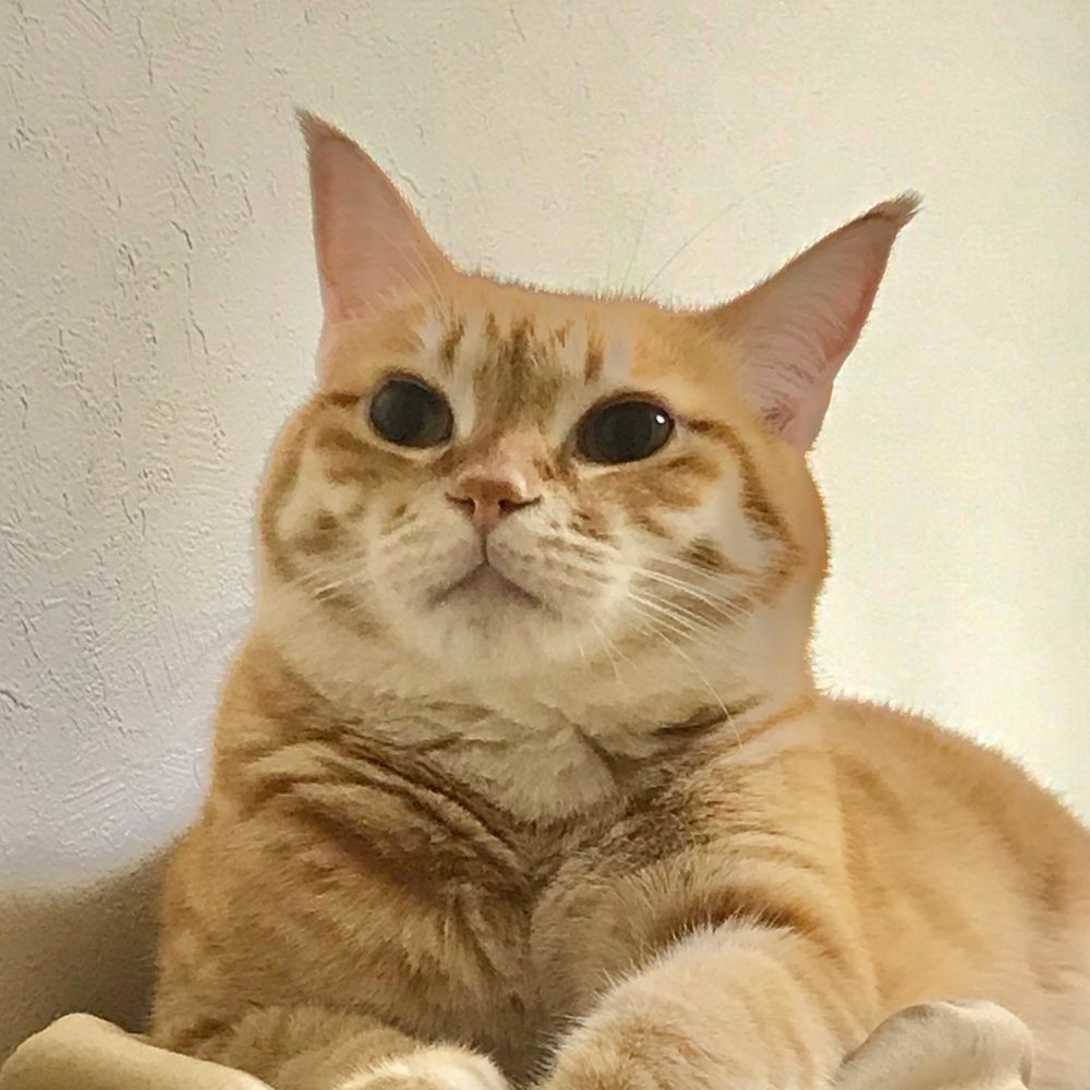 カチ