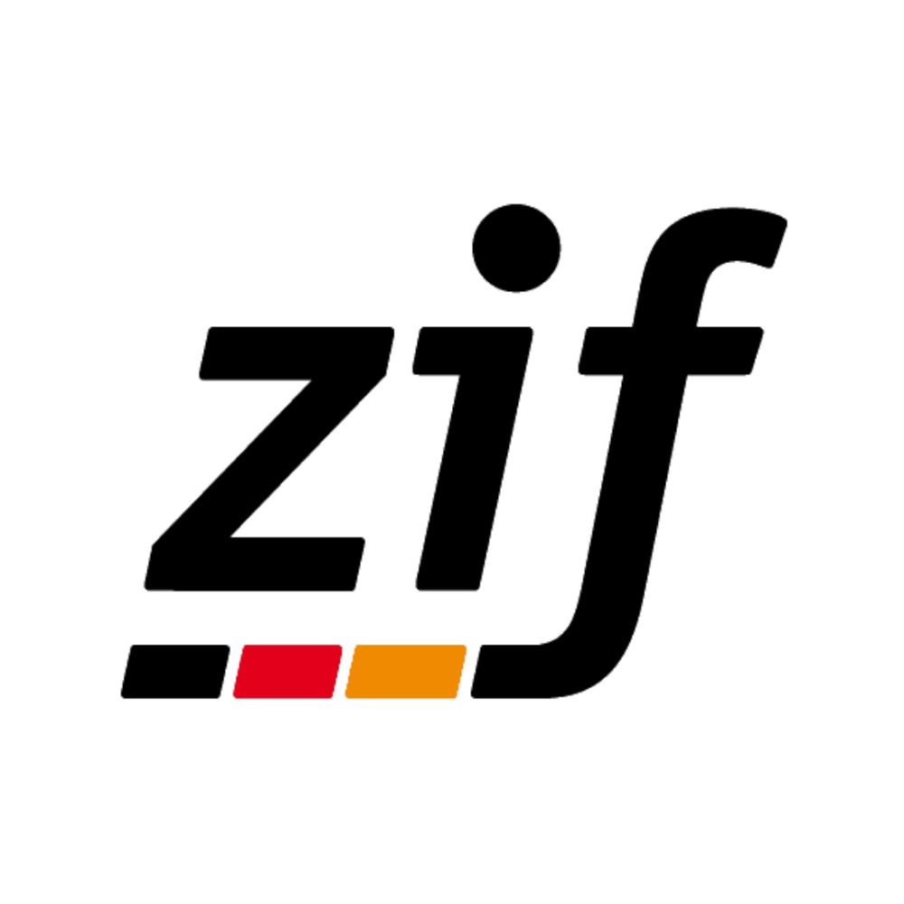 Zentrum für Internationale Friedenseinsätze (ZIF)