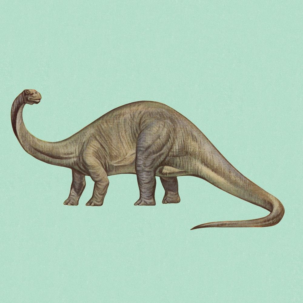 🦕 🇮🇪