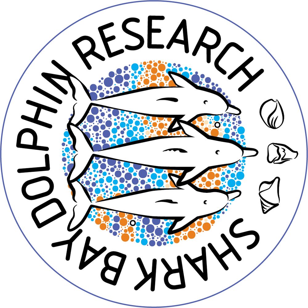 Shark Bay Dolphin Research