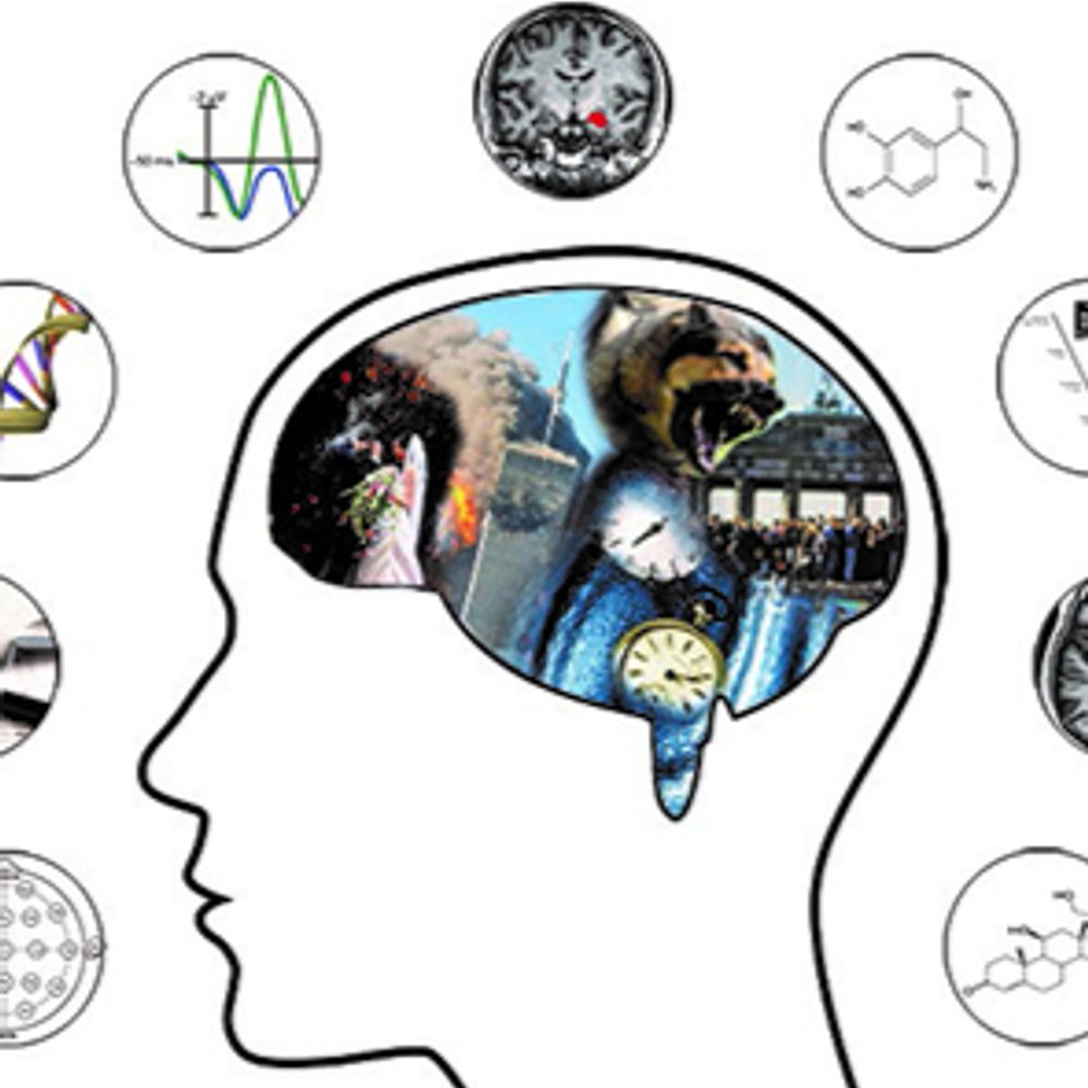 Stress & Cognition Group