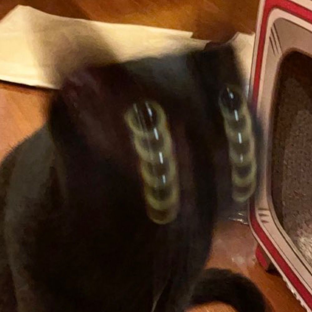 Dillap