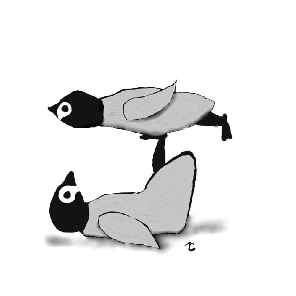 Acropenguin