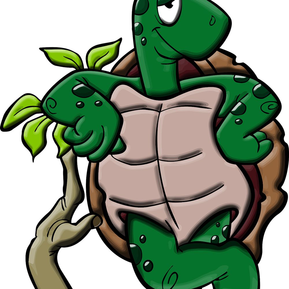 El Turtle Hermit