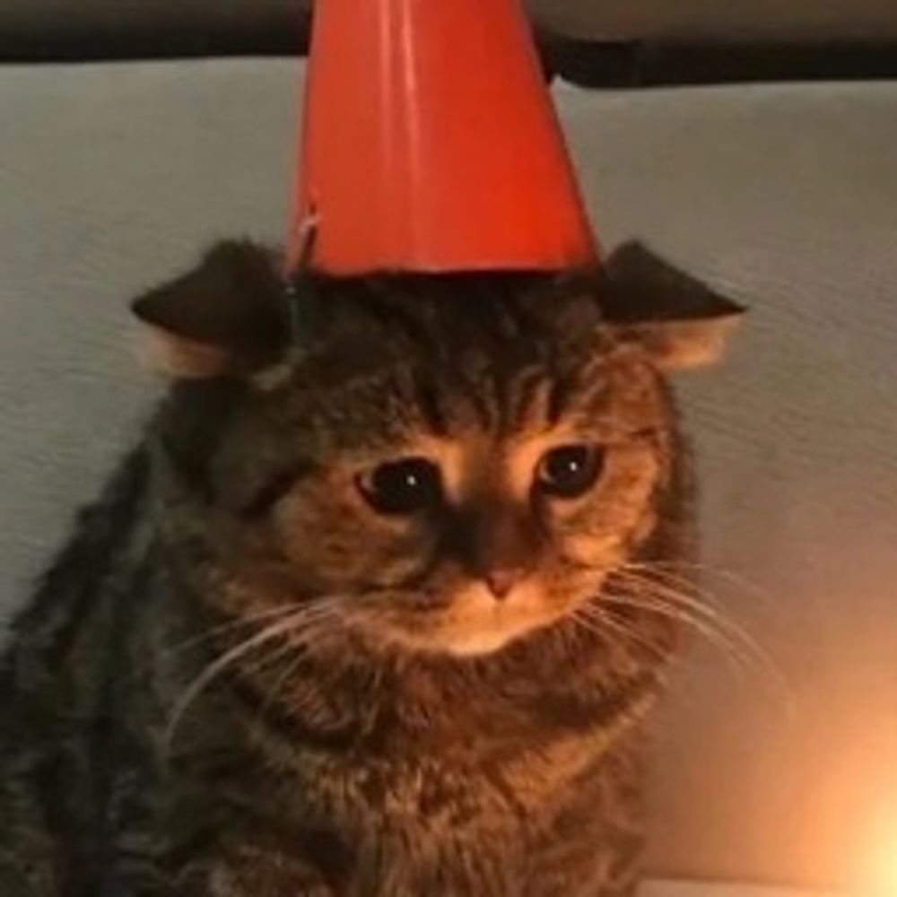 conecat