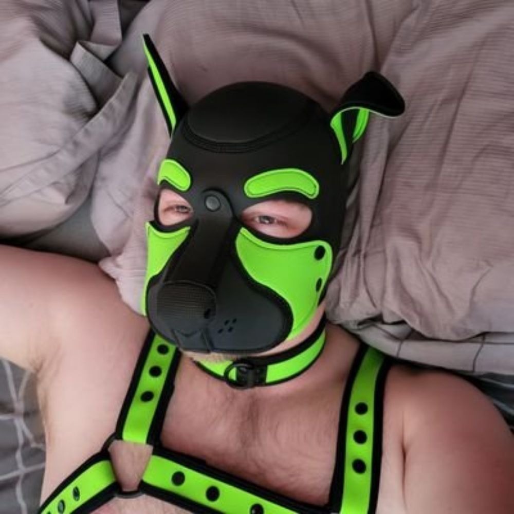 Pup Rayner