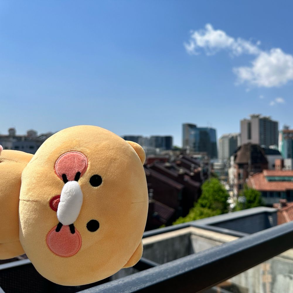 남스