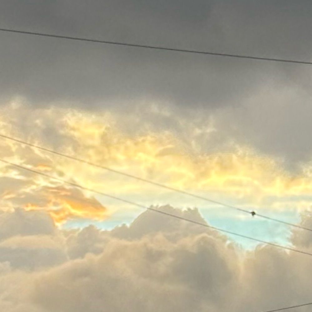浅い眠り