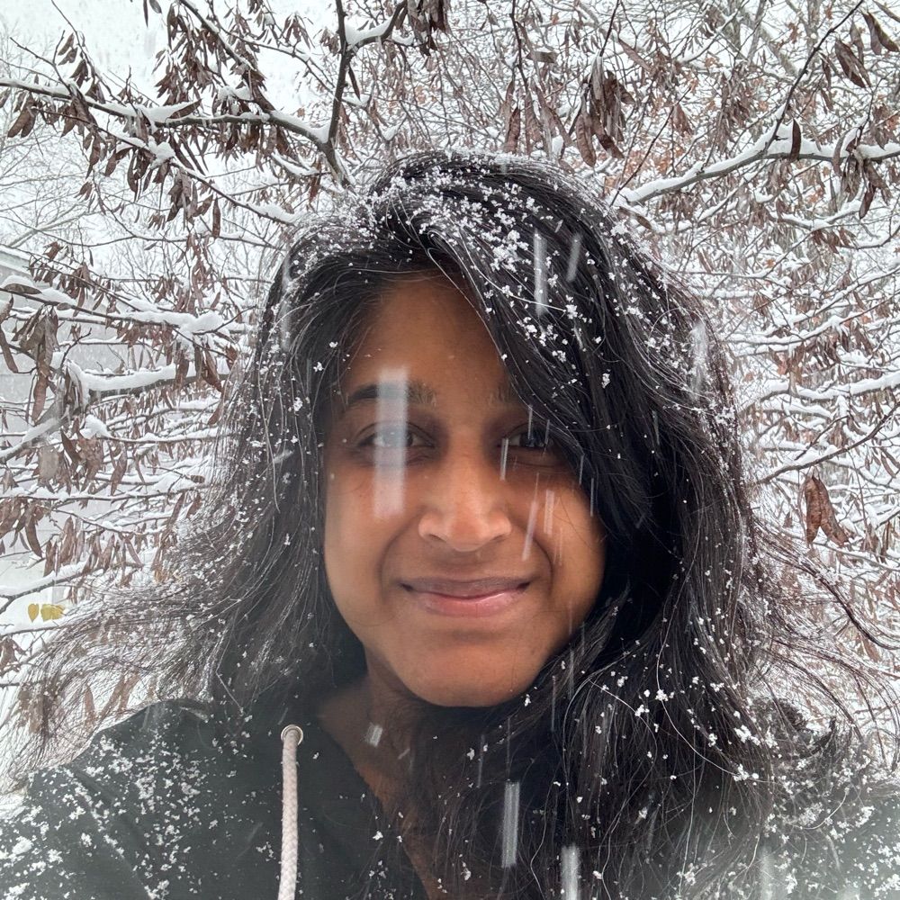 Ritu Nanos