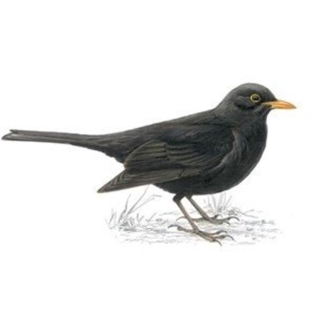 About1816 