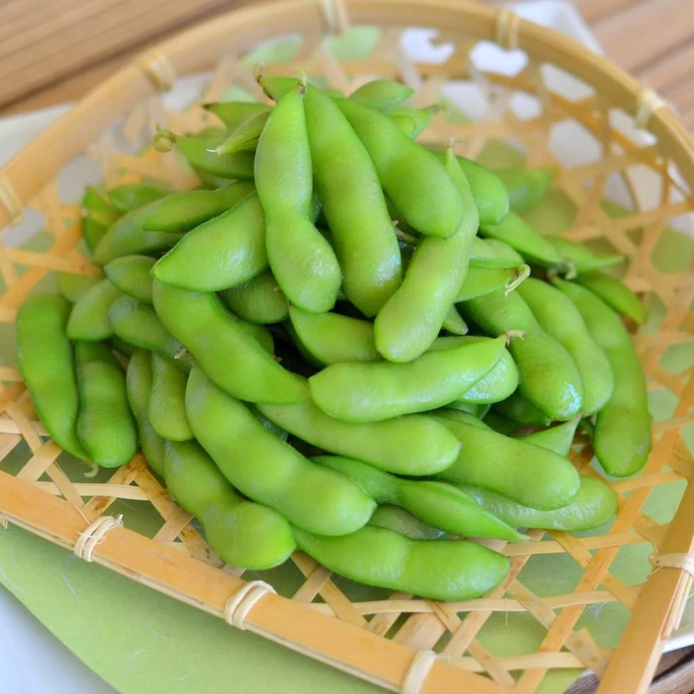 Young soybean 