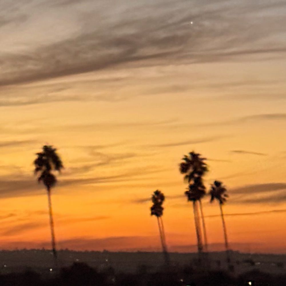 SKY PALEY