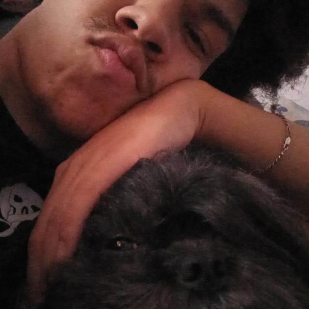 joau, o zinho
