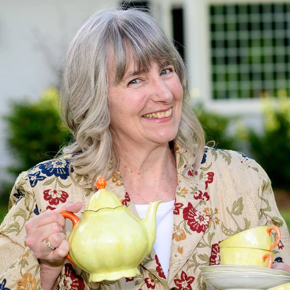 Janet Raye Stevens, Author