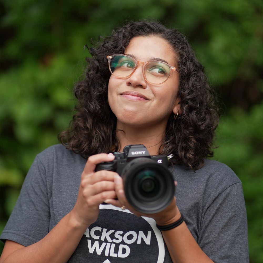 Stephanie Castillo, PhD